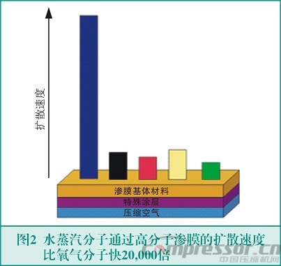 膜式干燥器的原理與應用