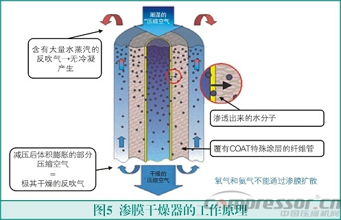 膜式干燥器的原理與應用