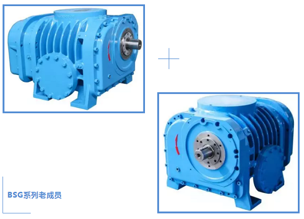 鮑斯BSG系列螺桿鼓風機又添成員